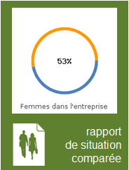 Rapport de situation comparée